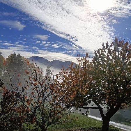 Gite Coeur De Haute-Savoie Viuz-en-Sallaz Exterior foto