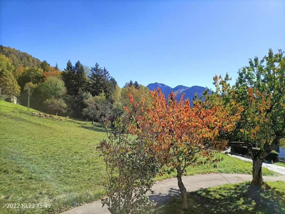 Gite Coeur De Haute-Savoie Viuz-en-Sallaz Exterior foto