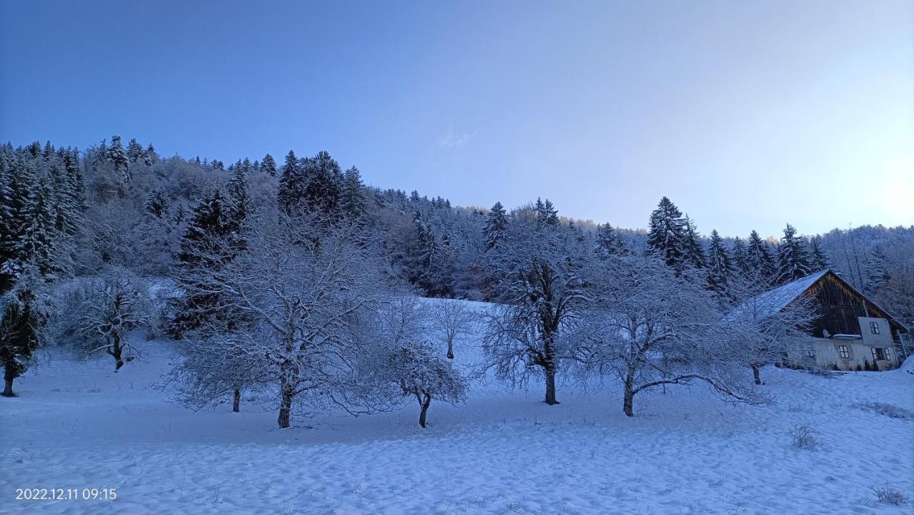 Gite Coeur De Haute-Savoie Viuz-en-Sallaz Exterior foto