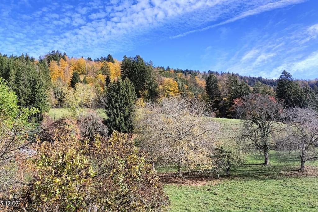 Gite Coeur De Haute-Savoie Viuz-en-Sallaz Exterior foto